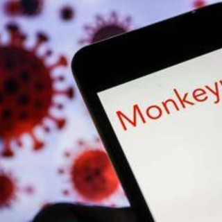 Vaiolo delle scimmie, è giallo per un caso di contagio nel Regno Unito