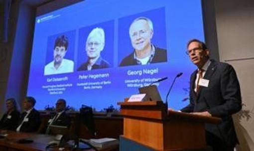 Nobel per la Medicina a Karl Deisseroth, Peter Hegemann e Georg Nagel