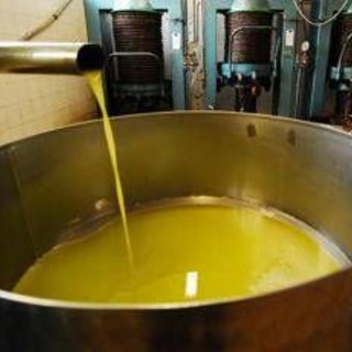 Unifol: "Per movimenti dell'olio sfuso﻿ sì alla bolla elettronica "