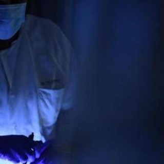 Aviaria, primo decesso in Messico: morta bimba di 3 anni