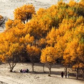 Cina, nello Xinjiang produzione di petrolio greggio supera 1,7 mln di tonnellate Cina, nello Xinjiang produzione di petrolio greggio supera 1,7 mln di tonnellate