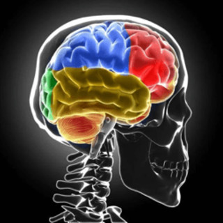 Sclerosi multipla, Bandiera (Aism): "Caregiver fondamentali ma ancora invisibili" Sclerosi multipla, Bandiera (Aism): "Caregiver fondamentali ma ancora invisibili"