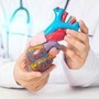 Cardiomiopatia ipertrofica ostruttiva: "Terapia innovativa efficace e sicura a 5 anni" Cardiomiopatia ipertrofica ostruttiva: "Terapia innovativa efficace e sicura a 5 anni"