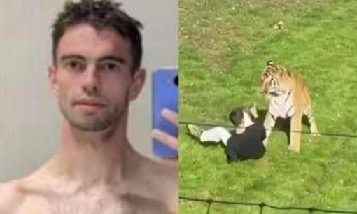 Morto dopo essere stato aggredito da una tigre in un parco, identificata la vittima: chi era William Chapman
