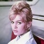 Scomparsa a 91 anni Brigitte Bardot, dal cinema alla difesa degli animali Scomparsa a 91 anni Brigitte Bardot, dal cinema alla difesa degli animali