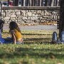 Meteo, ultime giornate di sole in Italia: nel weekend arrivano le piogge Meteo, ultime giornate di sole in Italia: nel weekend arrivano le piogge