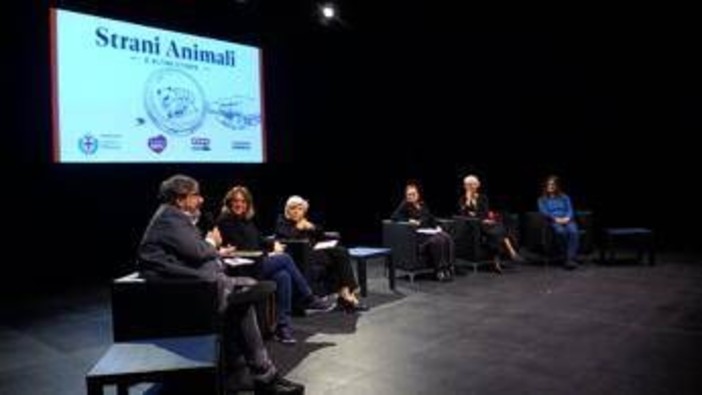 'Strani animali e altre storie', 20 racconti nati dai disegni dei bambini