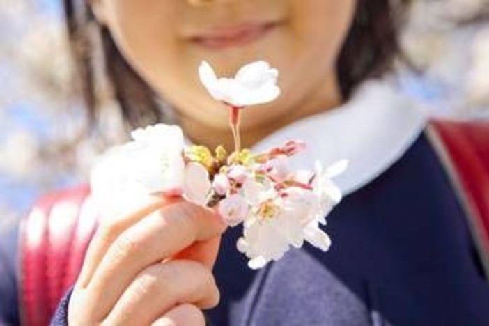 È il primo giorno di primavera, ecco perché l'equinozio cade oggi 20 marzo È il primo giorno di primavera, ecco perché l'equinozio cade oggi 20 marzo
