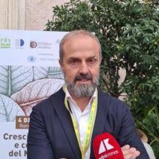 Tabacco, Masiello (Unitab Europa): "Filiera italiana modello vincente da tutelare" Tabacco, Masiello (Unitab Europa): "Filiera italiana modello vincente da tutelare"