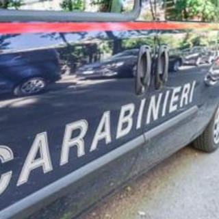 Torino, bimbo di 5 anni investito: arrestata 24enne alla guida fuggita dopo incidente Torino, bimbo di 5 anni investito: arrestata 24enne alla guida fuggita dopo incidente