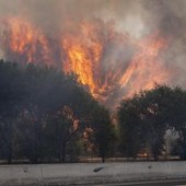 Francia e Spagna in ginocchio per gli incendi, Macron schiera l'esercito Francia e Spagna in ginocchio per gli incendi, Macron schiera l'esercito