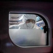 Peste in Siberia, la Russia revoca le restrizioni: "Nessun rischio, test negativi"