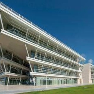 Tumori, Fondazione Airc sostiene la ricerca di Roma Tor Vergata Tumori, Fondazione Airc sostiene la ricerca di Roma Tor Vergata