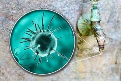Malattie rare, Sitrac: &quot;Non accessibile farmaco approvato in cheratite da Acanthamoeba&quot;