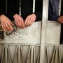 Caldo, Magi (Sumai): "Detenuti tra categorie più a rischio, rafforzare sanità nelle carceri" Caldo, Magi (Sumai): "Detenuti tra categorie più a rischio, rafforzare sanità nelle carceri"