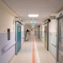Fungo killer negli ospedali europei, l'alert Ecdc: Italia fra Paesi più colpiti