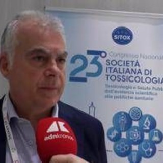Morso di vipera, il tossicologo 'bambini più vulnerabili a effetti veleno'