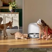 Animali, sondaggio Roborock rivela come cambia l'igiene domestica per i pet parent italiani