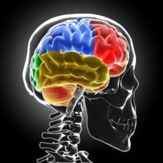 Sistema di 'lavaggio' in tilt, ecco cosa succede al cervello senza sonno