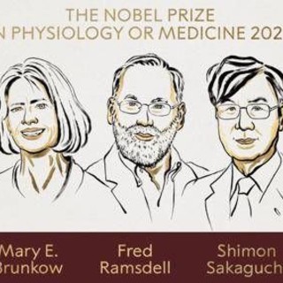 Nobel per la Medicina a Brunkow, Ramsdell e Sakaguchi per scoperte su sistema immunitario Nobel per la Medicina a Brunkow, Ramsdell e Sakaguchi per scoperte su sistema immunitario