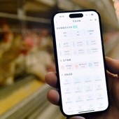 La Cina crea un sistema di registrazione per i diritti di proprietà dei dati La Cina crea un sistema di registrazione per i diritti di proprietà dei dati