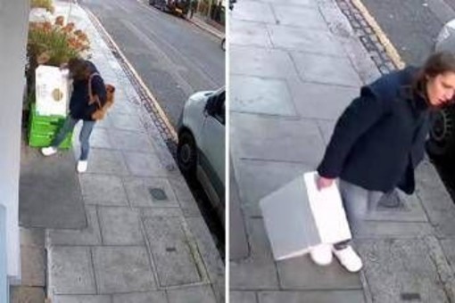 Londra, mistero della 'ladra di langoustine': rubati crostacei, manzo e orchidee rare Londra, mistero della 'ladra di langoustine': rubati crostacei, manzo e orchidee rare