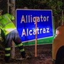Usa, italiano detenuto a Alligator Alcatraz: &quot;In gabbia come polli, fateci uscire da incubo&quot;