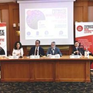 Fine vita, pro vita famiglia a centrodestra: &quot;Basta inseguire diktat Corte Costituzionale&quot;