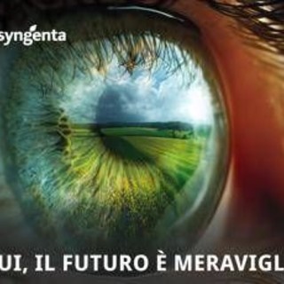 Syngenta Italia celebra 25 anni di innovazione e sostenibilità nel settore agro-industriale Syngenta Italia celebra 25 anni di innovazione e sostenibilità nel settore agro-industriale