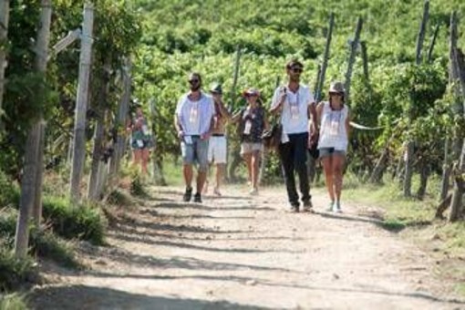 Turismo, UniCredit-Nomisma Wine Monitor: da quello del vino 3 miliardi di valore per cantine