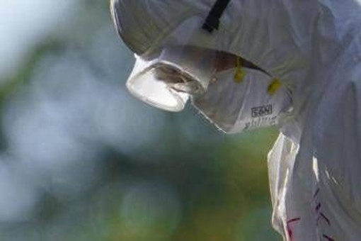 Aviaria, l'allarme dell'Ecdc: "In Europa più rischi per l'uomo", cosa sta succedendo Aviaria, l'allarme dell'Ecdc: "In Europa più rischi per l'uomo", cosa sta succedendo