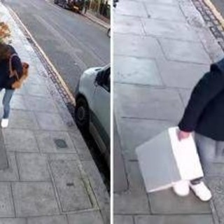 Londra, mistero della 'ladra di langoustine': rubati crostacei, manzo e orchidee rare