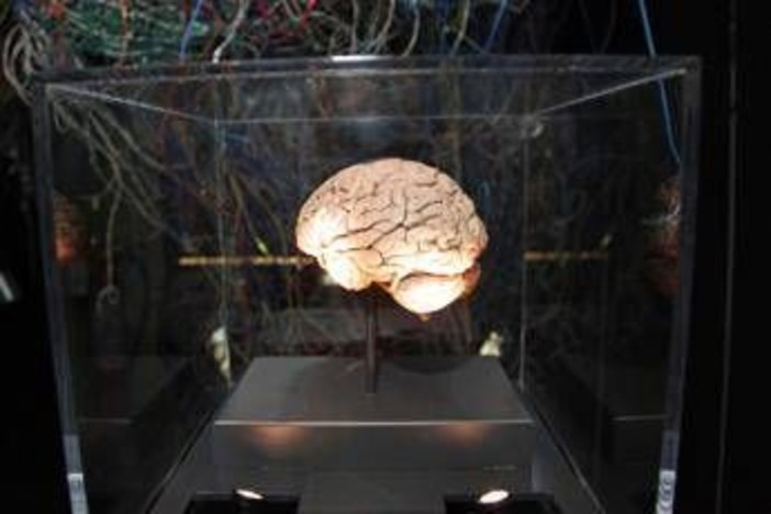 Medicina, neurologi: &quot;L'innovazione può cambiare la storia di molte malattie ma serve equità&quot;