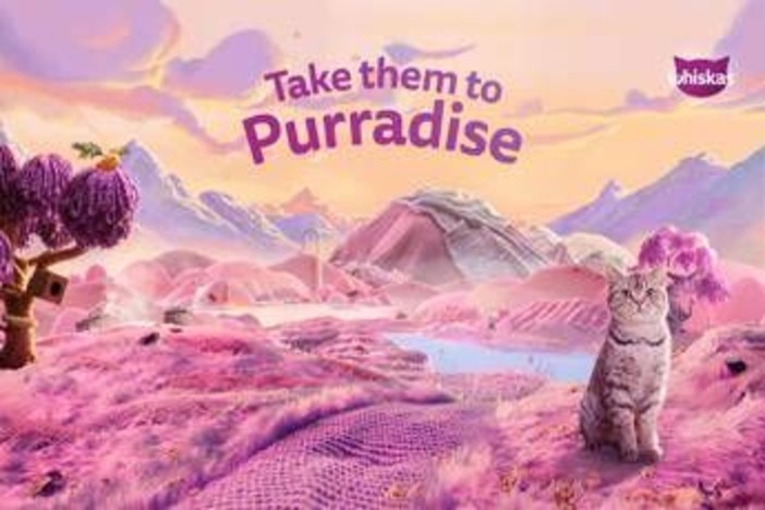 Animali, Whiskas: un test per scoprire la personalità del proprio gatto