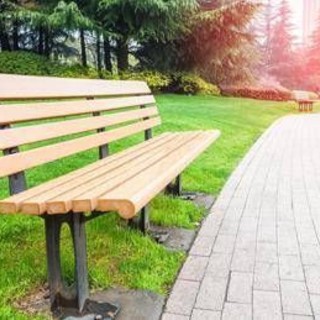 Più alberi in città, tutti i benefici del verde nei centri urbani