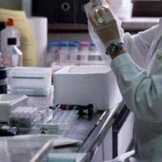 Cancro gastrico metastatico, anticorpo farmaco-coniugato migliora sopravvivenza