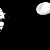 Artemis II batte il record dell'Apollo 13, equipaggio mai così distante dalla Terra Artemis II batte il record dell'Apollo 13, equipaggio mai così distante dalla Terra