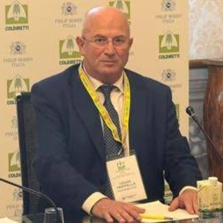 Tabacco, Trippella: &quot;Con Filiera Tabacchicola Italiana prospettive per prossimi 10 anni&quot;