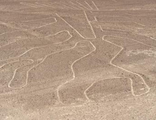Perù, aereo con italiani a bordo sorvolava Linee di Nazca: cosa sono Perù, aereo con italiani a bordo sorvolava Linee di Nazca: cosa sono