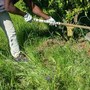 Caldo, Rebuzzi: &quot;Può uccidere, impedire lavoro all'aperto nella morsa dell'afa&quot;