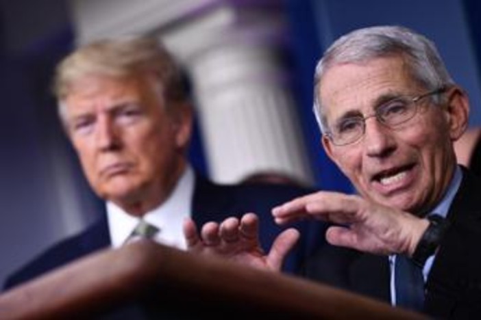 Covid Usa, Fauci si avvale del quinto emendamento. Trump: "Sue idee folli" Covid Usa, Fauci si avvale del quinto emendamento. Trump: "Sue idee folli"
