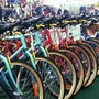 Mobilità, meno emissioni e più alberi con 'Magis bike Challenge'