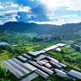 La Cina promuove lo sviluppo di reti elettriche di nuova generazione La Cina promuove lo sviluppo di reti elettriche di nuova generazione