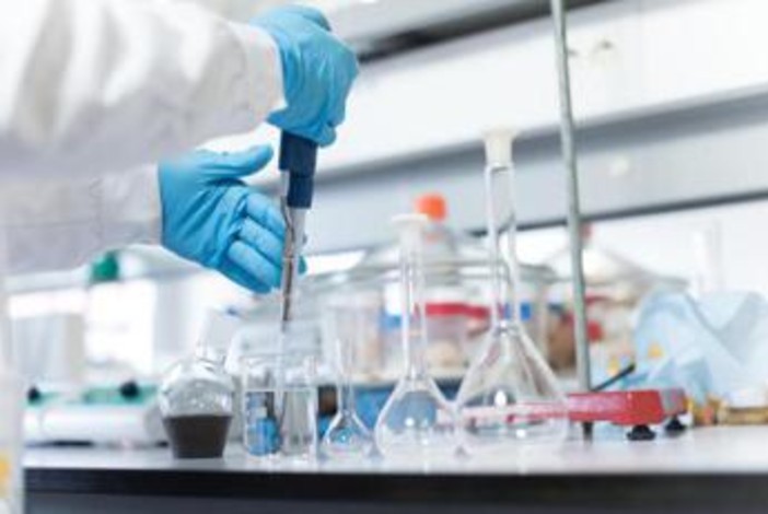 Cancro polmone, svelato il segreto di una risposta duratura all'immunoterapia