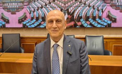 Dispositivi digitali, Agostiniani (Sip): "Sviluppo armonico con relazione umana" Dispositivi digitali, Agostiniani (Sip): "Sviluppo armonico con relazione umana"