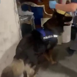 Arrestato spacciatore catanese con 4,5 kg di droga nascosta in garage