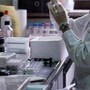 Ricerca, Gasbarrini (Cattolica): &quot;Urge un sistema più agile e formazione dedicata&quot;