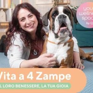 Qvc Italia, debutta nuova categoria per care con uno show su amici a quattro zampe Qvc Italia, debutta nuova categoria per care con uno show su amici a quattro zampe