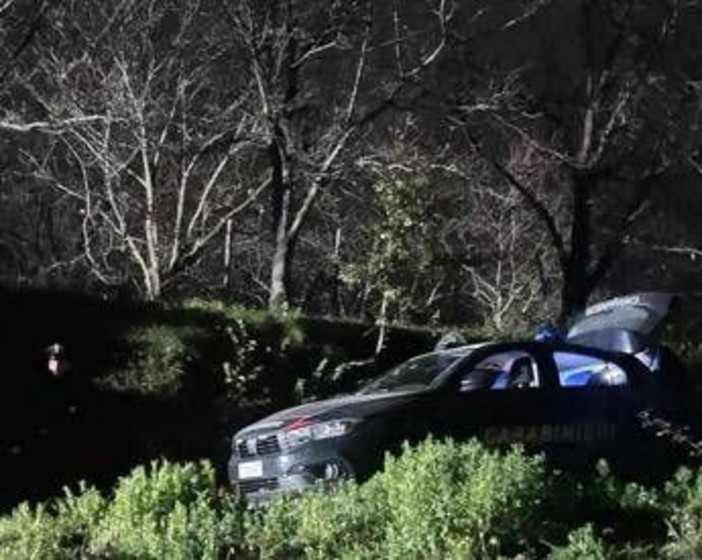 Cacciatori uccisi, si cerca il killer del triplice omicidio: attesa per perizia balistica Cacciatori uccisi, si cerca il killer del triplice omicidio: attesa per perizia balistica