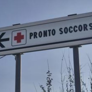 Morso di zecca e rischio encefalite, Bassetti: "Grave infezione virale, massima attenzione"